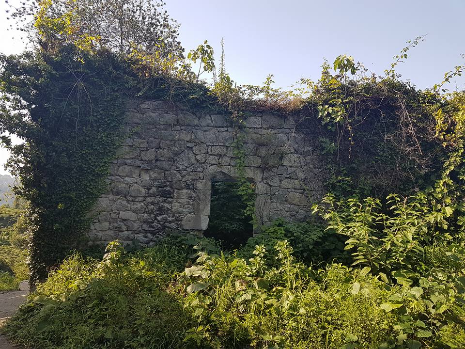 30+2 φωτογραφίες από το χωριό Κρηνίτα στον Πόντο – Κάποτε είχε πάνω από 350 Έλληνες - Media Gallery