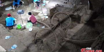 Άφωνοι οι αρχαιολόγοι από την αρχαία βασιλική «λιμουζίνα»! (φωτο)