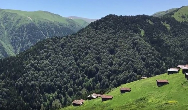 Έτσι είναι η θέα των παρχαριών... σου κόβει την ανάσα! (βίντεο)