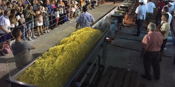 Η Νάξος τηγάνισε τις περισσότερες πατάτες στον κόσμο και μπήκε στο βιβλίο Γκίνες!