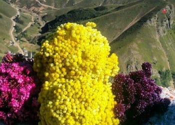 Της Παναγίας τα δάκρυα στον Πόντο βρίσκονται στις Ποντικές Άλπεις