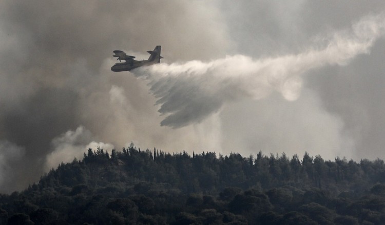 Φωτιές στην Κερατέα Αττικής και το Γραμματικό Ηλείας 5
