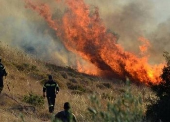 Φωτιά στη Δημοτική Ενότητα Οινιάδων Αιτωλοακαρνανίας 4