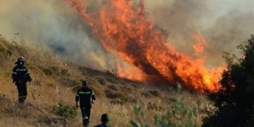 Φωτιά στη Δημοτική Ενότητα Οινιάδων Αιτωλοακαρνανίας 4