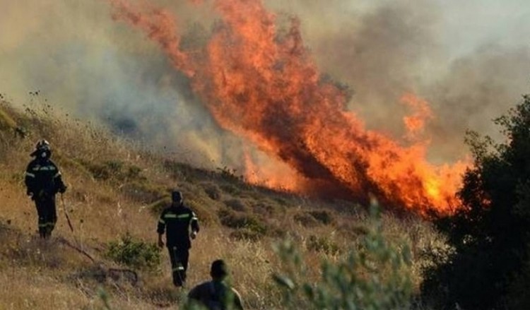 Φωτιά στη Δημοτική Ενότητα Οινιάδων Αιτωλοακαρνανίας 4