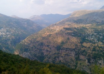 Ένοπλοι Αλβανοί μάζευαν τσάι στα Τζουμέρκα και συνελήφθησαν από την ΕΛΑΣ