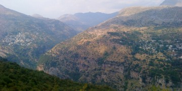 Ένοπλοι Αλβανοί μάζευαν τσάι στα Τζουμέρκα και συνελήφθησαν από την ΕΛΑΣ