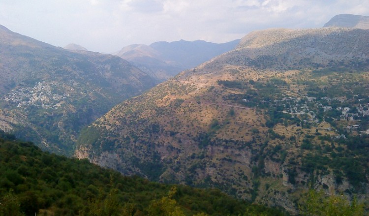 Ένοπλοι Αλβανοί μάζευαν τσάι στα Τζουμέρκα και συνελήφθησαν από την ΕΛΑΣ