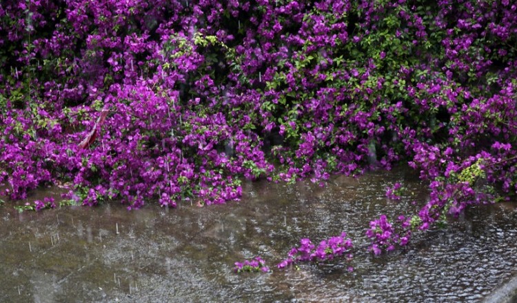 Βροχές και καταιγίδες αυτή την ώρα στην Αττική