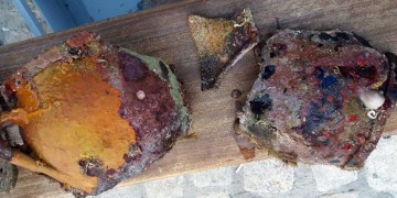 Αλλοδαποί... ψάρευαν αρχαία στα Χανιά