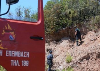 Φωτιά σε δασική έκταση στο Μαρμάρι Εύβοιας 9