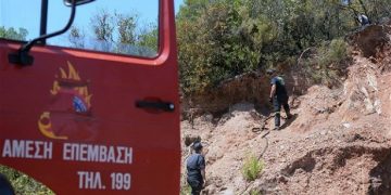 Φωτιά σε δασική έκταση στο Μαρμάρι Εύβοιας 9