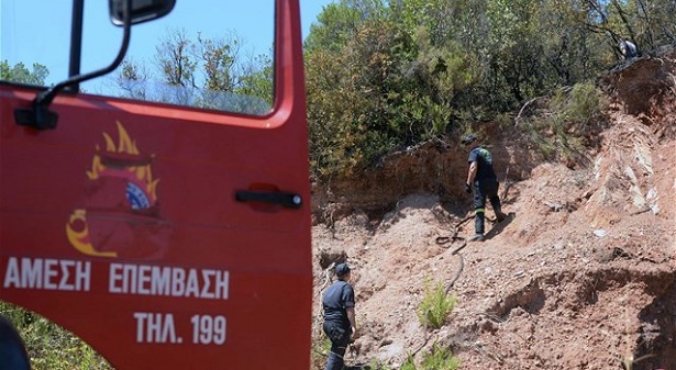 Φωτιά σε δασική έκταση στο Μαρμάρι Εύβοιας 9