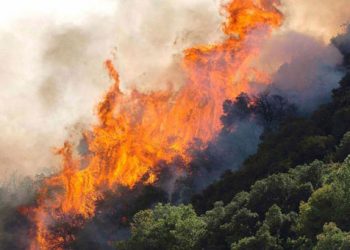 Μεγάλη φωτιά κοντά στον οικισμό Ασβεστοχωρίου στα Ιωάννινα