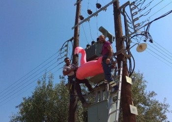 Τι κάνουν ένας Πόντιος κι ένας Κρητικός με ένα φλαμίνγκο σε κολόνα της ΔΕΗ;