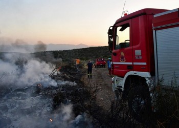 Φωτιά σε δασική έκταση στο Μαρμάρι Εύβοιας 8