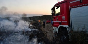 Φωτιά σε δασική έκταση στο Μαρμάρι Εύβοιας 8