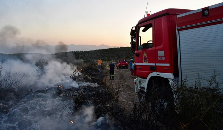 Φωτιά σε δασική έκταση στο Μαρμάρι Εύβοιας 8
