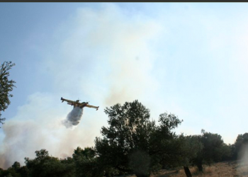 (Φωτ. αρχείου: fireservice.gr)