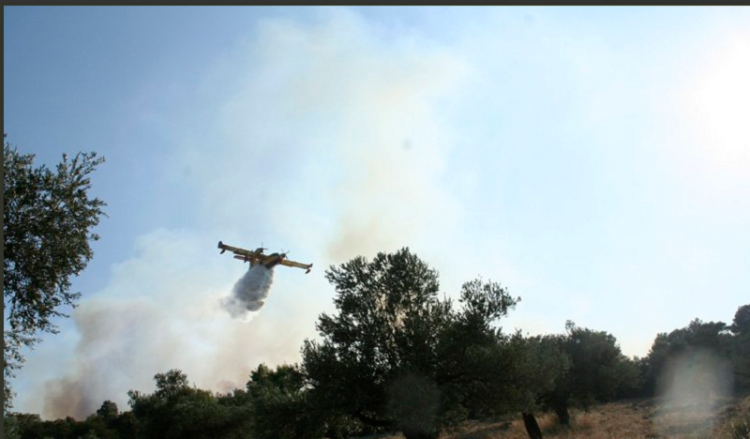 (Φωτ. αρχείου: fireservice.gr)