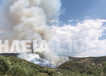Μεγάλη φωτιά στη Ζαχάρω Ηλείας