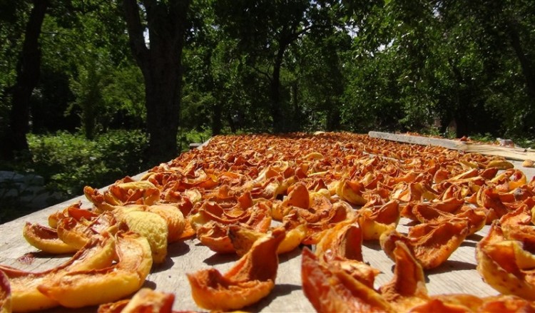 Έτοιμα τα χοσιαφλούκια του Καρς – Μάθετε πώς γίνονται (φωτο)