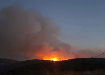 Πυρκαγια σε δασική έκταση στην Πάργα