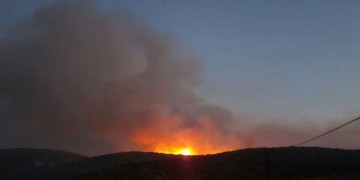 Πυρκαγια σε δασική έκταση στην Πάργα