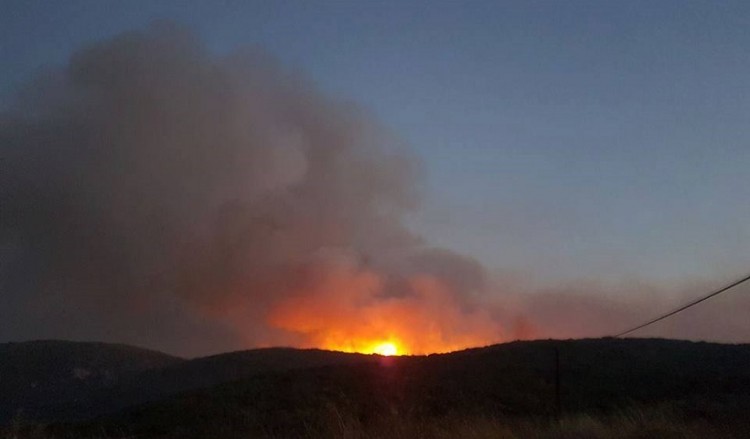 Πυρκαγια σε δασική έκταση στην Πάργα