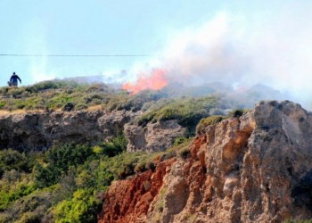 Πυρκαγια σε δασική έκταση στην Πάργα 2