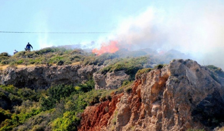 Πυρκαγια σε δασική έκταση στην Πάργα 2