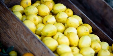 Πώς διατηρούμε τα λεμόνια φρέσκα για τρεις μήνες