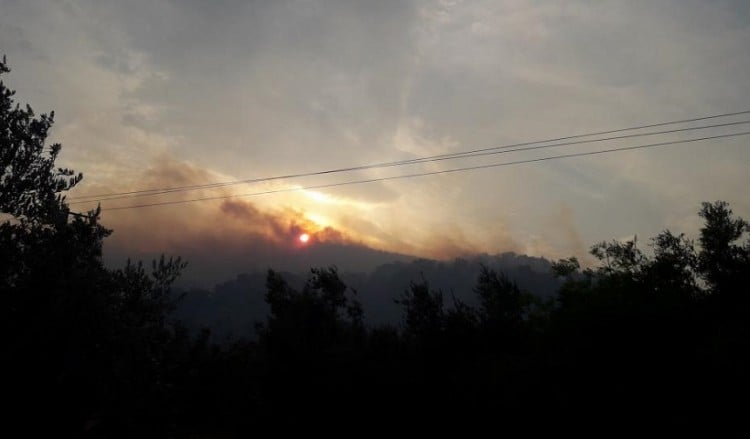 Σε εμπρησμό αποδίδεται η μεγάλη φωτιά στη Λέσβο