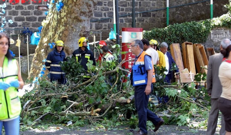 Τραγωδία στην Πορτογαλία: 11 νεκροί από πτώση δέντρου σε θρησκευτική γιορτή (βίντεο)