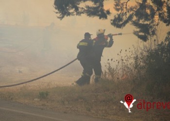 Φωτιά στη Νέα Σαμψούντα προκάλεσε μεγάλες υλικές ζημιές