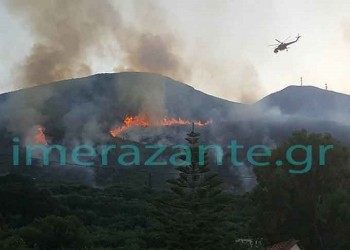 Πυρκαγιά στα Στύρα Ευβοίας – Καίει δασική έκταση
