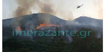 Πυρκαγιά στα Στύρα Ευβοίας – Καίει δασική έκταση