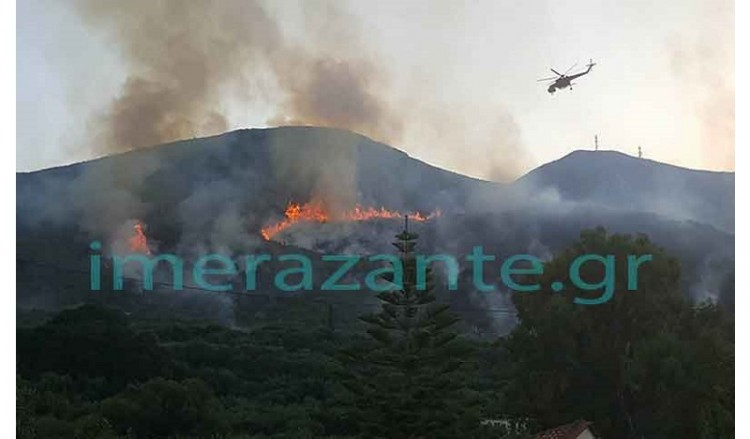 Πυρκαγιά στα Στύρα Ευβοίας – Καίει δασική έκταση