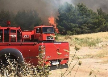 Υπό μερικό έλεγχο η πυρκαγιά στη Μικροκώμη του Δήμου Βόλβης