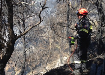 Εμπρησμός και αδιαφορία: Οι κάτοικοι των Θρακομακεδόνων καταγγέλλουν  (βίντεο-φωτο) - Media Gallery