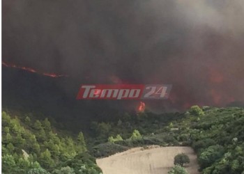 Φωτιά στην περιοχή Ξηρόκαμπος του Δήμου Αρχαίας Ολυμπίας 2