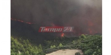 Φωτιά στην περιοχή Ξηρόκαμπος του Δήμου Αρχαίας Ολυμπίας 2