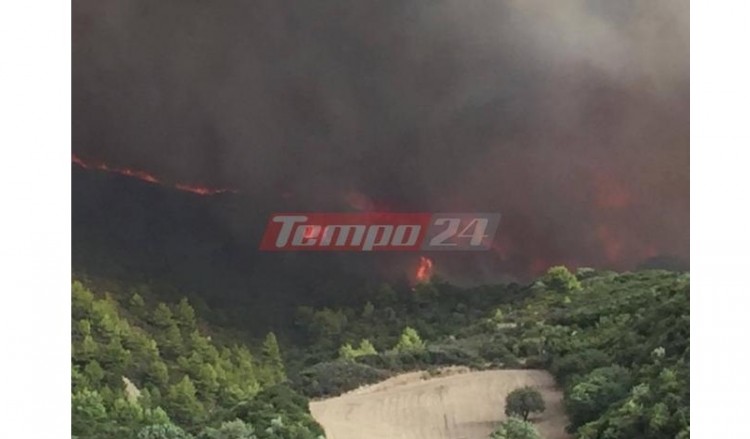 Φωτιά στην περιοχή Ξηρόκαμπος του Δήμου Αρχαίας Ολυμπίας 2