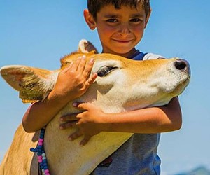 Μια εικόνα χίλιες λέξεις για τη ζωή στον Πόντο