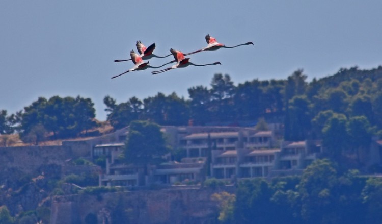 Αλλάζει ο καιρός την Πέμπτη, αισθητή πτώση της θερμοκρασίας