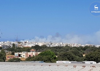 Φωτιά σε δασική έκταση στο Μαρμάρι Εύβοιας 3