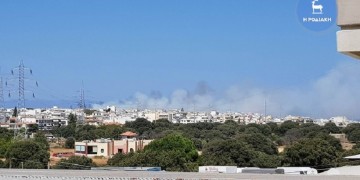 Φωτιά σε δασική έκταση στο Μαρμάρι Εύβοιας 3