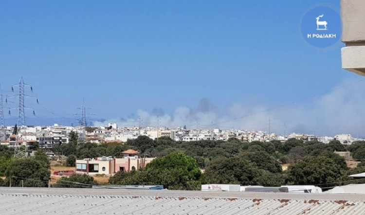 Φωτιά σε δασική έκταση στο Μαρμάρι Εύβοιας 3