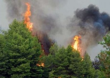 Φωτιά σε δασική έκταση στο Μαρμάρι Εύβοιας