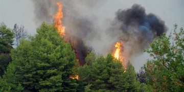 Φωτιά σε δασική έκταση στο Μαρμάρι Εύβοιας